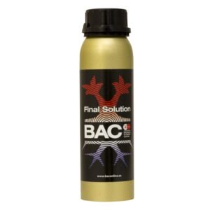 FINAL SOLUTION BAC