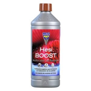 BOOST HESI