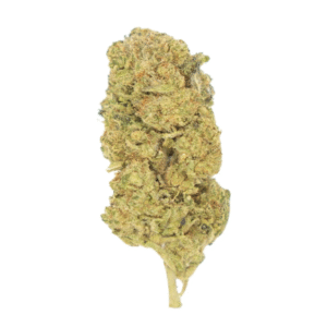 LONDON CAKE INDOOR 3GR LIVE BIO HEMP