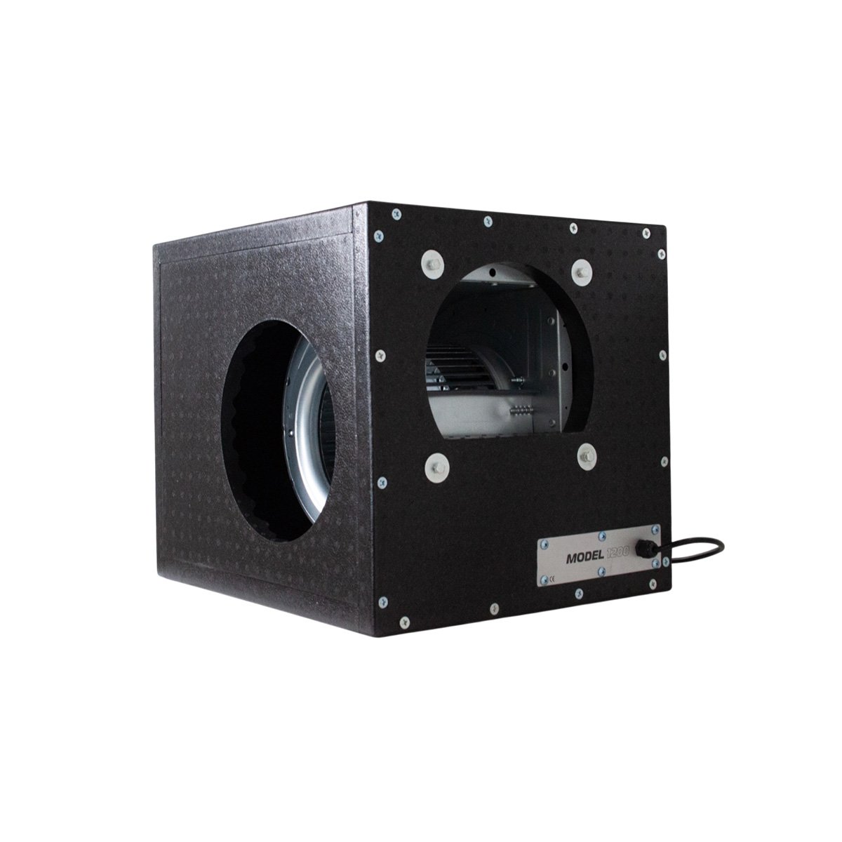 Dutch Masters Caja Foam